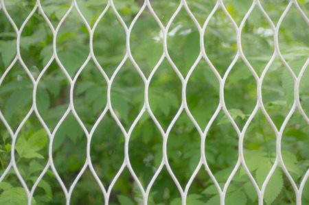 Grassland background with fence, Hong Kong, Chinaの写真素材