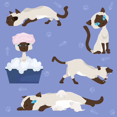 Vector set with a Siamese cat who sits plays yawns hunt swim and take care of kittensのイラスト素材