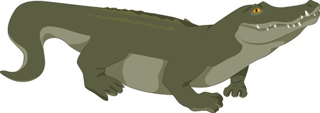 illustration of a realistic green crocodileのイラスト素材