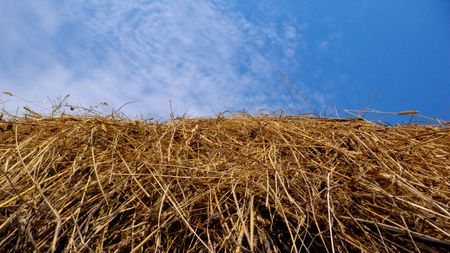 straw haystack on blue sky with cloudの写真素材