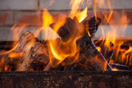 beautiful bright fire in the backyard for barbecue