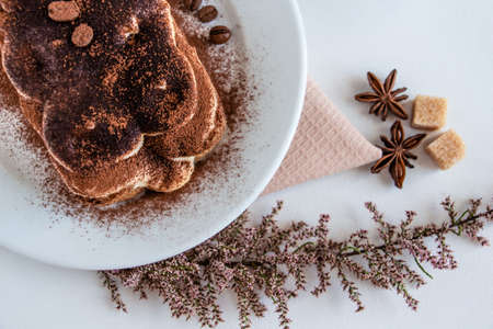 A piece of delicious tiramisu is the perfect breakfast or dessert. Star anise and cane sugar...
