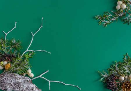 Christmas, New Year card - snow-covered fir branches on a green background, stylish. Flat lay, copy space, top viewの写真素材