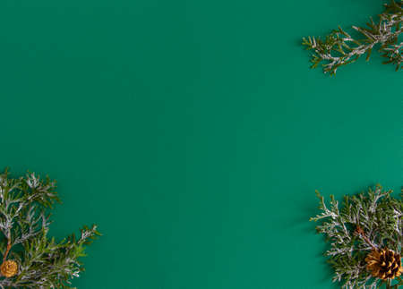 Christmas, New Year card - snow-covered fir branches on a green background, stylish. Flat lay, copy...