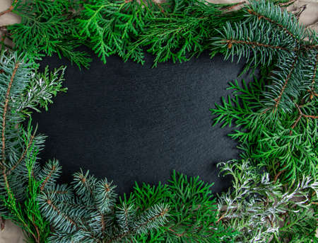 Christmas and New Year composition from branches of a Christmas tree on a black background. Copy...