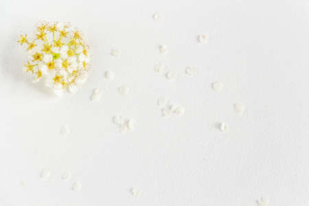 bright spring background - the combination of yellow and white, greeting card. Place for text, copy space, flat layの写真素材
