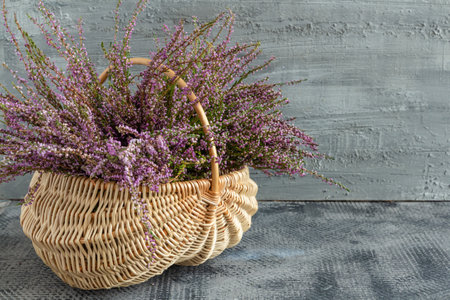 Basket with flowers on a concrete background, lilac heatherの写真素材
