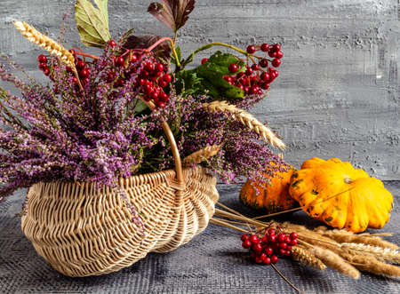 Autumn still life on a concrete background, basket with heather and viburnum and fruits, thanksgiving dayの写真素材