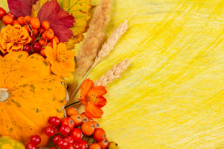Autumn composition, Thanksgiving or Halloween concept, berries, pumpkin on a yellow background. Flat lay, copy spaceの写真素材