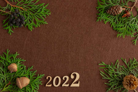 2022, Stylish christmas composition, spruce branches on brown felt background, copy space