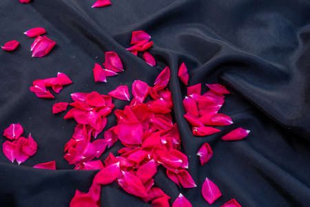 red rose petals on black background, flat lay, flower arrangement