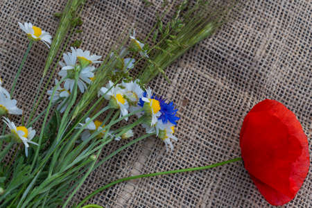 floral arrangement of red poppies, daisies, cornflowers and wildflowers