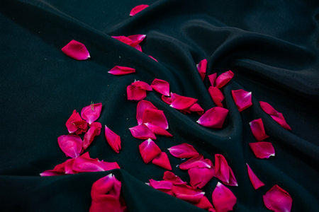 red rose petals on black background, flat lay, flower arrangement