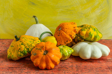 multicolored pumpkin on yellow and orange background, autumn compositionの写真素材