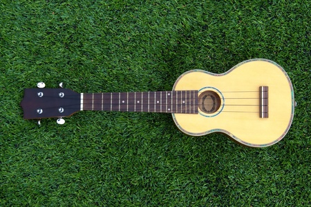 ukulele on greenの写真素材