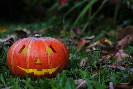 Creepy carved pumpkin face, with a smile, in parkの写真素材
