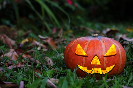 Creepy carved pumpkin face, with a smile, in parkの写真素材
