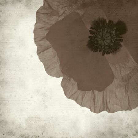 textured old paper background with red poppy flowerの写真素材