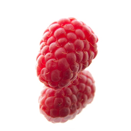 single raspberry isolated, on mirrorの写真素材