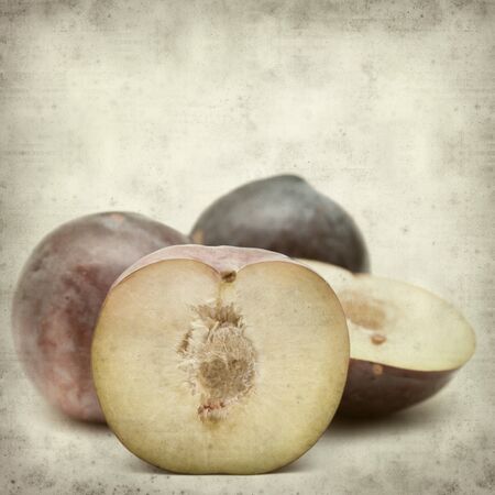 textured old paper background with large red plum fruitの写真素材