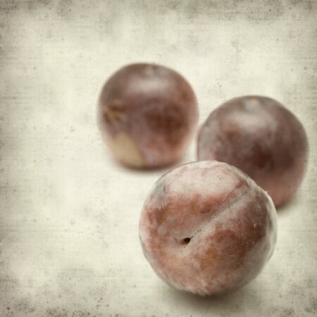 textured old paper background with large red plum fruitの写真素材