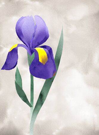 Purple iris collage with, hand line drawing,  watercolor doodle fragments, background of watercolor doodleの写真素材