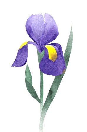 Purple iris collage with, hand line drawing,  watercolor doodle fragmentsの写真素材