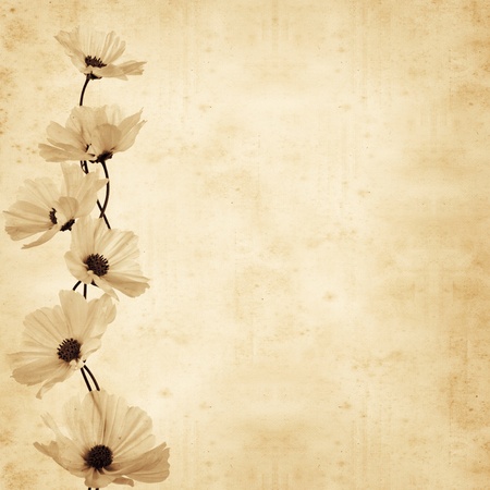  old, paper, background ,cosmeaの写真素材