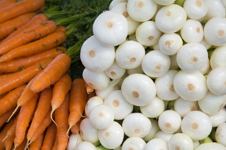 fresh young white onions and carrotsの写真素材