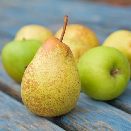 apples and pearsの写真素材