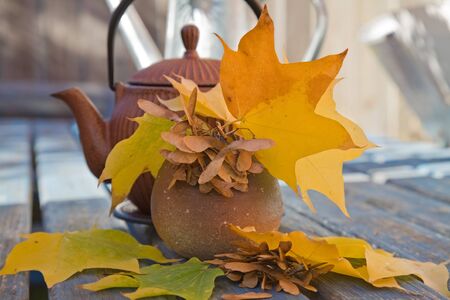autumn tea with traditional japanese cast iron teapotの写真素材