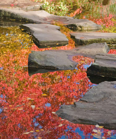 stepping stones