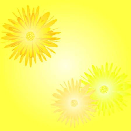 background with yellow flower illustrationの写真素材