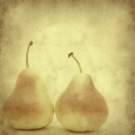 textured old paper background with pearsの写真素材