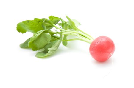 single fresh red radish isolated on white backgroundの写真素材