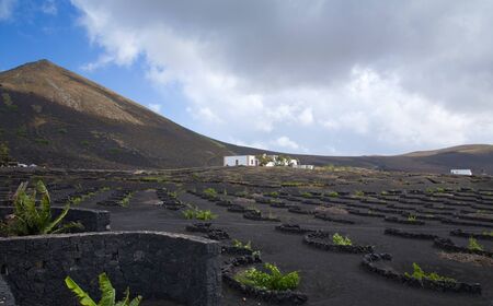 La Geria - vineyard region of Lanzarote; Canary Islandsの写真素材
