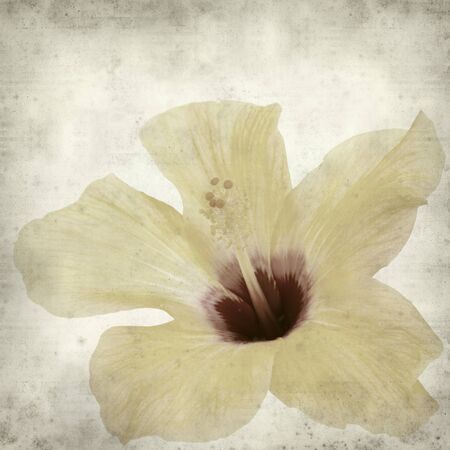 textured old paper background with  yellow hibiscus flowerの写真素材