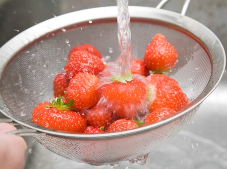 washing fresh red strawberries in a sieveの写真素材