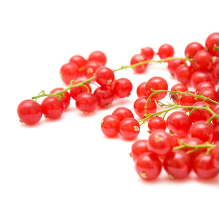 redcurrant isolated on whiteの写真素材