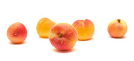 small ripe apricots  isolated on white surfaceの写真素材