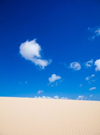 dunes abstract - bright sunshine showing wind patterns on sandの写真素材