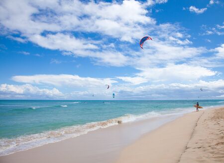 Fuerteventura, September 2012 - kitesurfers practice off the North Coast of Fuerteventuraのeditorial素材