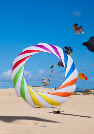 FUERTEVENTURA, SPAIN - NOVEMBER 09: Viewers watch from the ground as multicolored kites fill the sky at 25th International Kite Festival, November 9, 2012 in Dunes of Corralejo, Fuerteventura, Spainのeditorial素材
