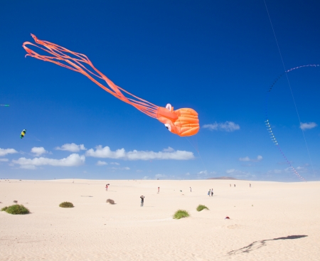 FUERTEVENTURA, SPAIN - NOVEMBER 10: Viewers watch from the ground as multicolored kites fill the sky at 25th International Kite Festival, November 10, 2012 in Dunes of Corralejo, Fuerteventura, Spainのeditorial素材
