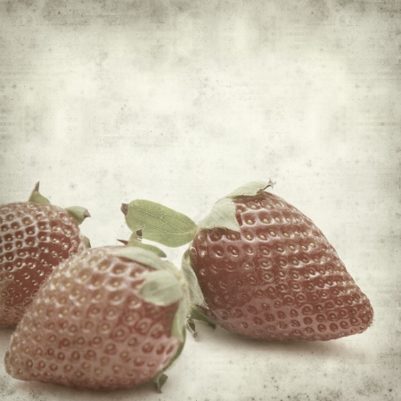 textured old paper background with strawberriesの写真素材