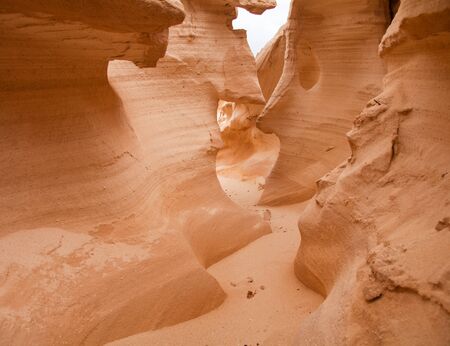Northern Inland Fuerteventura, ravine barranco de los enamorados around Lajaresの写真素材