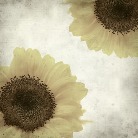 textured old paper background with yellow sunflowerの写真素材
