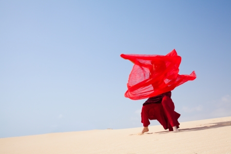 flamenco in the dunesの写真素材