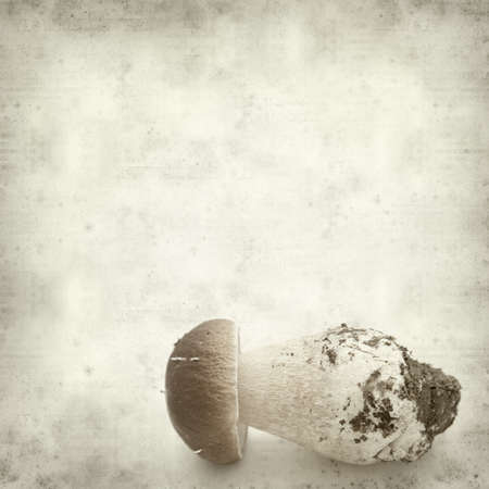 textured old paper background with porcino mushroom, Boletus edulisの写真素材