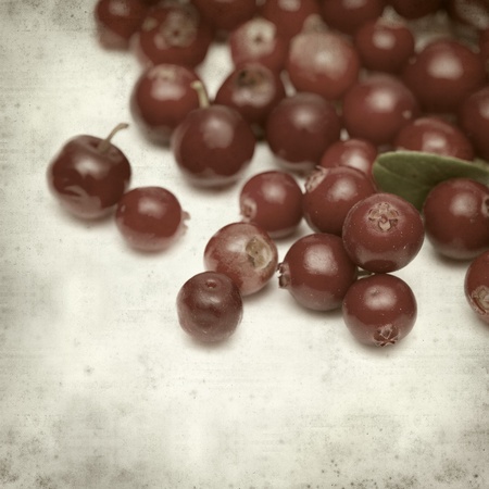 textured old paper background with lingonberryの写真素材